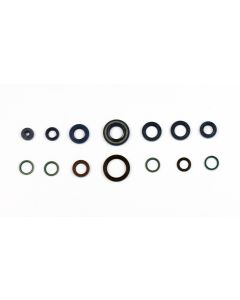 Athena Engine Oil Seal Kit P400110400101