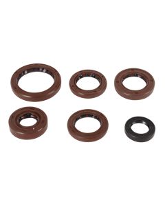 Vertex Oil Seal Kit 822376