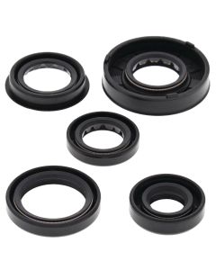Vertex Oil Seal Kit 822322