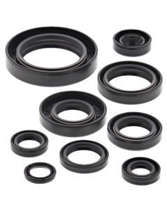 Vertex Oil Seal Kit 822109