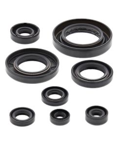 Vertex Oil Seal Kit 822354