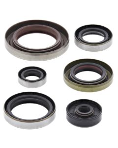 Vertex Oil Seal Kit 822348