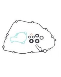 Psychic Water Pump Repair Kit MX-10262