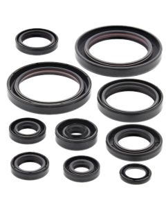 Vertex Oil Seal Kit 822178
