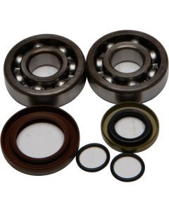 All Balls Crank Bearing And Seal Kit 24-1103