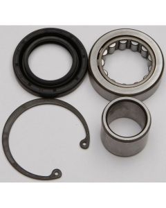 All Balls Inner Primary Bearing and Seal Kit 25-3103