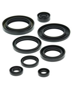 Vertex Oil Seal Kit 822149