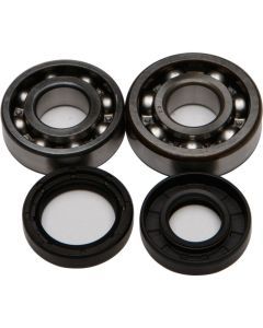 All Balls Crank Bearing And Seal Kit 24-1023