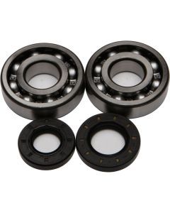 All Balls Crank Bearing And Seal Kit 24-1009