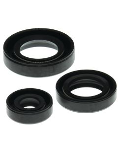 Vertex Oil Seal Kit 822199