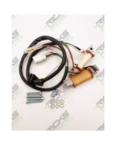 Ricks Stator Rebuild Kit For Yamaha YZ80 1997-2001 22-905