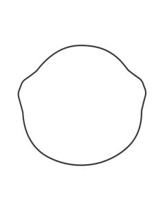 Vertex Outer Clutch Gasket Kit 817200