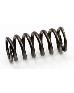 PSYCHIC EXHAUST VALVE SPRING SPI-SPORT PART  Lionparts LPSP646-A
