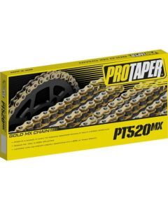LION_PROTAPER_021708_001_0226_COPY