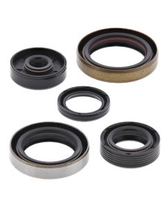 Vertex Oil Seal Kit 822347