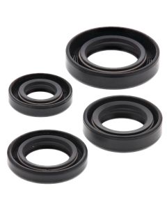 Vertex Oil Seal Kit 822163