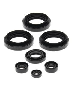 Vertex Oil Seal Kit 822145