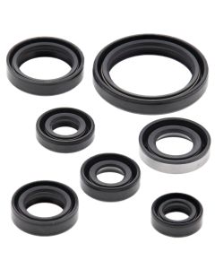 Vertex Oil Seal Kit 822193