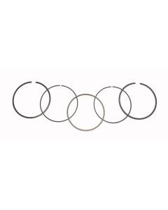 WSM Piston Rings For Honda 400 TRX-FW 04-07 .25mm Over 51-230-04