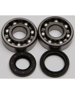 All Balls Crank Bearing And Seal Kit 24-1024