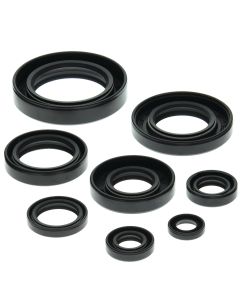 Vertex Oil Seal Kit 822147