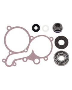 Spi Water Pump Repair Kit  SM-10104