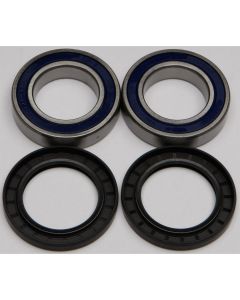 NEW ALL BALLS WHEEL BEARING AND SEAL KIT 25-1131