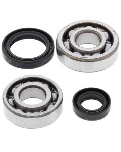 All Balls Racing Crank Shaft Bearing Kit 24-1013
