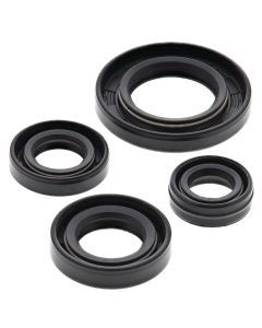 Vertex Oil Seal Kit 822272