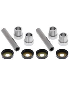 Complete King Pin Kit for Kawasaki KLF250 Bayou 2003-2011