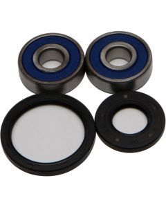 All Balls Front Wheel Bearing Kit 25-1316