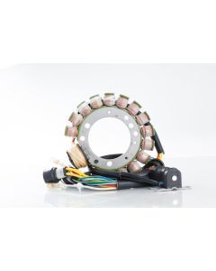 Ricks Stator 21-900