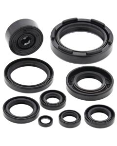 Vertex Oil Seal Kit 822117