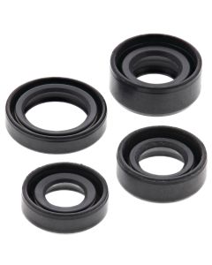 Vertex Oil Seal Kit 822306