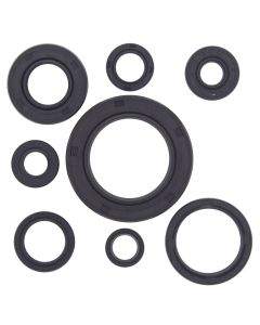 Vertex Oil Seal Kit 822111