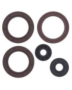 Vertex Oil Seal Kit 822362