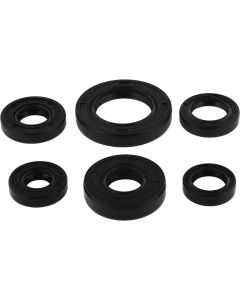 Vertex Oil Seal Kit 822146