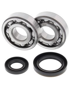 All Balls Racing Crank Shaft Bearing Kit 24-1019