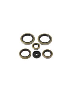 Vertex Oil Seal Kit 822370