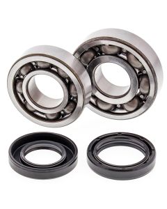 All Balls Racing Crank Shaft Bearing Kit 24-1043