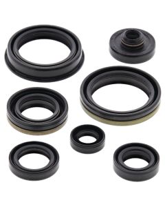 Vertex Oil Seal Kit 822266