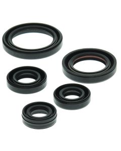Vertex Oil Seal Kit 822263