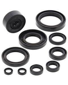 Vertex Oil Seal Kit 822115