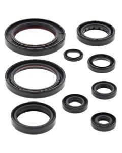 Vertex Oil Seal Kit 822357