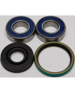 All Balls Drive Shaft Bearing and Seal Kit (Lower Shaft - Track) 14-1016