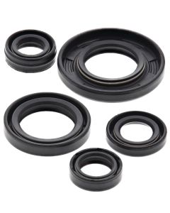 Vertex Oil Seal Kit 822240