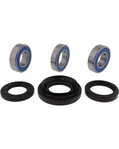 All Balls Racing Rear Wheel Bearing Kit 25-1037