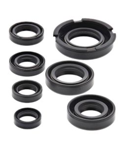 Vertex Oil Seal Kit 822219