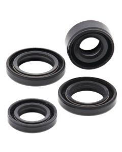 Vertex Oil Seal Kit 822212