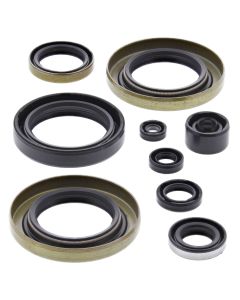Vertex Oil Seal Kit 822302